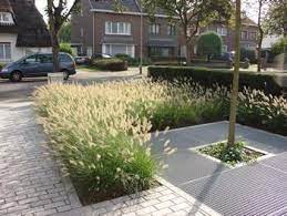 een onderhoudsvriendelijke voortuin met grassen en een sobere beplating voortuin voortuin patio tuin