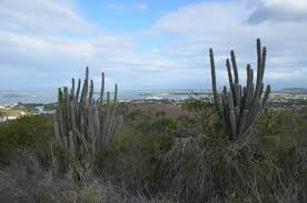 The virtual exhibit includes rare archival documents and photographs. Guantanamo Bay Cuba What It S Really Like