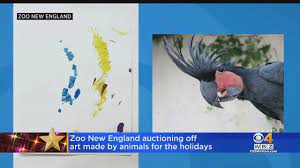 Art off zoo com