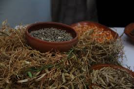 Maybe you would like to learn more about one of these? Il Tour Maracuoccio Di Lentiscosa Marina Di Camerota