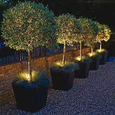 Landscape Designs Can Be Hard To Plan And Work On Your Own So Here Are Some Great Tips To Ge In 2020 Landscape Lighting Design Garden Lighting Design Backyard Lighting