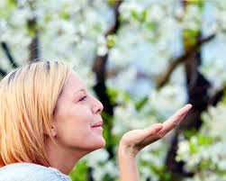 Laura Teich, Author at L. Teich Consulting