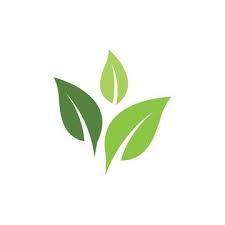 شعارات من أوراق الشجر الخضراء البيئة natural logo plant vector plant leaves