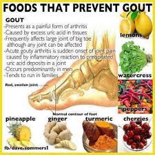 diet chart for elevated uric acid levels sushovanmandal