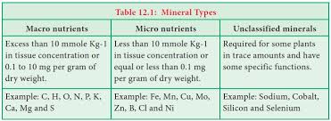 What is the difference between … Classification Of Plants Mineral Nutrition