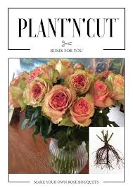 They travel much better, and last longer. Exhibitor Roses Forever Aps Ipm Essen