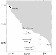 Image result for Commander 119.137