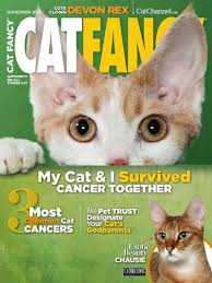 Each issue is dedicated to a particular breed with a centerfold picture, and is packed with healthcare advice. Catster Magazine Subscription Pet Magazine Fancy Cats Animal Magazines