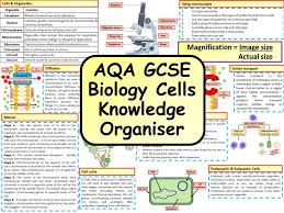 Ks4 Aqa Gcse Biology Science Cells Revision Knowledge Organiser Gcse Biology Revision Science Cells Gcse Science
