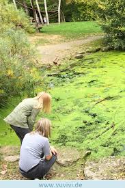 Ausflug Kinder Wald Natur Stuttgart