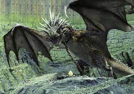 A very dangerous spiky dragon of vicious disposition, the hungarian horntail is also a fast and. The Hungarian Horntail Monster Legacy