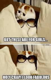 Pin On Just Funny