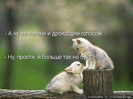 Ну, прости, я больше так не / котоматрица / смешные картинки и другие  приколы: комиксы, гиф анимация, видео, лучший интеллектуальный юмор.