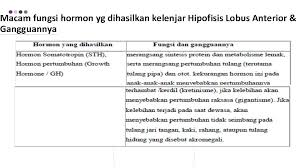 √ edu passed pass quality & scientific checked by advisor, read our quality control. Sistem Endokrin Faik Agiwahyuanto Apa Yg Dipelajari 1