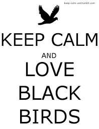 Baltimore Ravens Black And White Love The Black Birds Especially Crows Keep Calm Keep Calm Images Crow