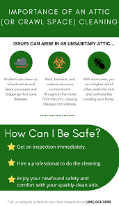 We have years of experience in providing cleaning and maintaining your attic doesn't have to be stressful or difficult. Atticali Attic And Crawl Space Cleaners Bay Area 300 Off First Cleaning