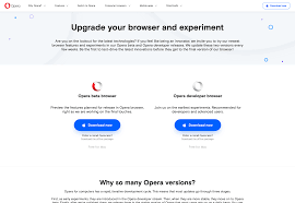 Opera 2020 free download latest version for windows. 6 Best Browsers For Developers In 2020 Webdesigner Depot Webdesigner Depot Blog Archive