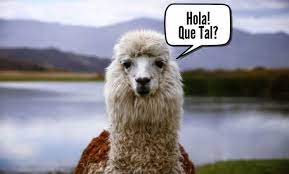 スペイン語 ¿Qué tal? (ケタル) の意味と使い方！簡単すぎてヤバい！ - ギドが恋したスペイン語☆