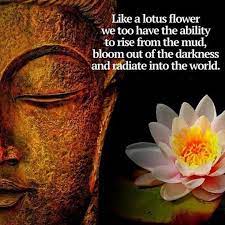 Flower quotes for every occasion. 95 Like A Lotus Flower We Too Have The Ability To Rise From The Mud Bloom Out Of The Darkness And R Buddha Quotes Inspirational Buddha Quote Buddhism Quote