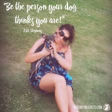Check spelling or type a new query. Irresistible Dog Quotes Irresistible Pets