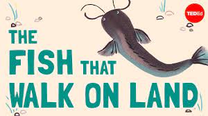 More images for 5 letter tropical fish » Fish Theschoolrun