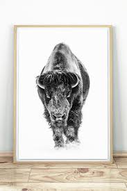 Buffalo Print Bison Wall Art Black And White Buffalo Bison Print American Buffalo Print Digital Download Buffal Buffalo Wall Art Art Native American Wall Art