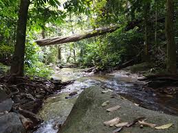 Air terjun pelangi di sungai lembing, pahang yang rare tv pergi dalam travelog kali ini mungkin antara air terjun paling. Hiking Di Air Terjun Sungai Pisang Gombak Aliffness