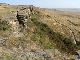 This will ensure that quality coins will always have a viable market whether you are buying or selling your coins. Buffalo Jump Wikipedia
