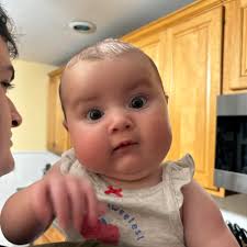 What's the best way to treat mounts and keep bugs (moths) from doing this? 