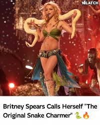 Image result for britney spears python