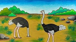 Cara mewarnai burung anti luntur / kumpulan gambar. Belajar Menggambar Dan Mewarnai Burung Cara Menggambar Burung Di Pohon Youtube
