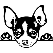 Chihuahua 13 Peeking Dog Puppy Breed K 9 Animal Pet Hound Lap Etsy Cartoon Illustration Pet Portraits Cartoon Animals