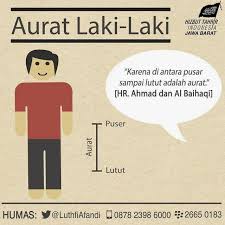 Dalam al quran, allah ta'ala memerintahkan semua umat islam untuk mengulurkan jilbab dan menutupi seluruh tubuhnya. Bringislam Web Id Batas Aurat Laki Laki Dan Perempuan Menurut Islam Adalah Laki Laki Islam Belajar