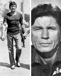 Charles Bronson's Life and Career in Film