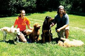 No kill dog shelter in lafayette, indiana. Pet Training Pet Care Lafayette Indiana