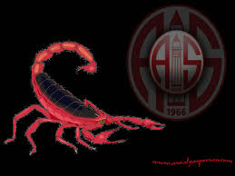 55,575 likes · 5,513 talking about this · 1 was here. Antalyaspor Scorpion Home Facebook