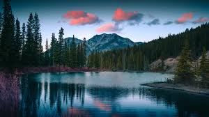 We did not find results for: Wallpaper Lake Mountains Forest Landscape Nature 1920x1080 Wallpaper Teahub Io
