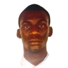 Completed OffSec Learning Path badge collection