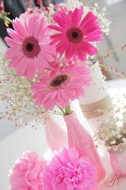 Le margherite fiori tipo margherite colorate si maria, sono margherite. 400 Idee Su Gerbere Nel 2021 Gerbere Fiori Bouquet Gerbera