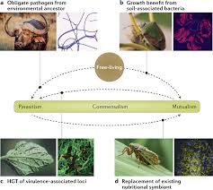 Berikut rincian lengkap kode transfer bank yakni kode bank bri, kode bank bni, kode bank bca, kode bank mandiri, dan kode bank btn. Microbial Evolution And Transitions Along The Parasite Mutualist Continuum Nature Reviews Microbiology
