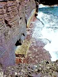 We may also earn commissions on purchases from other retail websites. Resonance At Yonaguni Monument The Paleo Sanskrit Texts Of Yonaguni In Japan