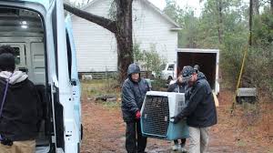 Convicted hit man Luis Rivera testifies in Charlie Adelson's murder for  hire trial