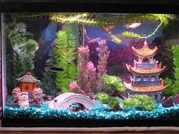 For more remarkable concept such as this visit us at cool fish tank decorations now. How To Decorate Your Boring Fish Tank Pouted Com Cool Fish Tanks Cool Fish Tank Decorations Fish Tank Decorations