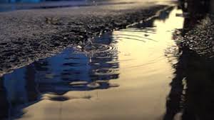 Maybe you would like to learn more about one of these? Harris Bay Yacht Club Stock Footage Video 100 Royalty Free 1021731136 Shutterstock