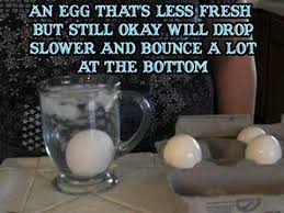 If the narrow end of the egg tilts upward, the egg is still usable, but not quite as fresh. Kitchen Tips How To Tell If An Egg Is Good Or Bad Youtube