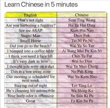 Before becoming a student of us, you can book a free trial first to be confident to join us. Learn Chinese In 5minutes 9gag