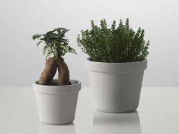 Pots De Fleurs Esthetiques Et La Bonne Sante De Vos Plantes Bac à fleurs en acier galvanisé de la série metallic. pots de fleurs esthetiques et la bonne