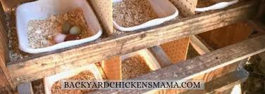 Chicken nesting boxes are essential for your poultry business or hobby. Simple Guide To Setting Up The Best Hen Nesting Boxes