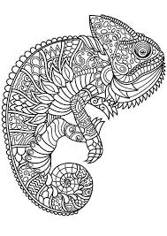 Rd.com pets & animals this secretive native of both side of the caribbean—from belize to the british virgin islands—hides. Pin On Animal Coloring Page