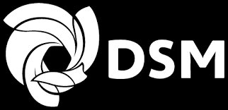 Maybe you would like to learn more about one of these? Dsm Case Study Intelligence2day